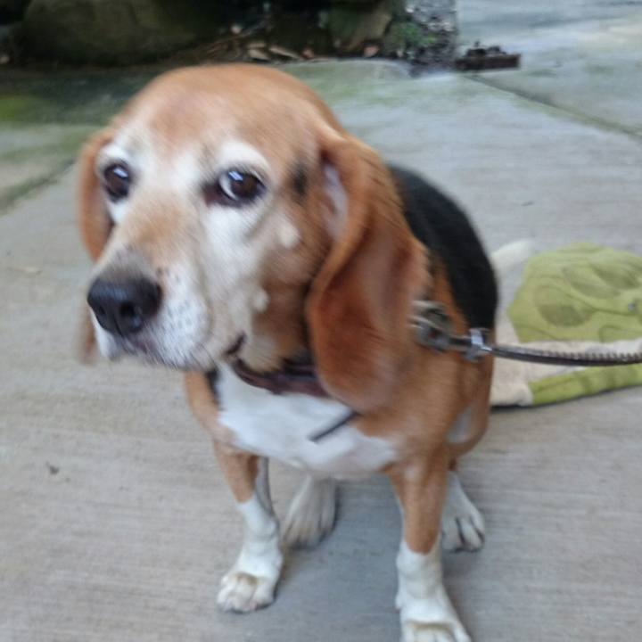 1d61feee 3519 44ec 8be5 569ef4dbf8bc