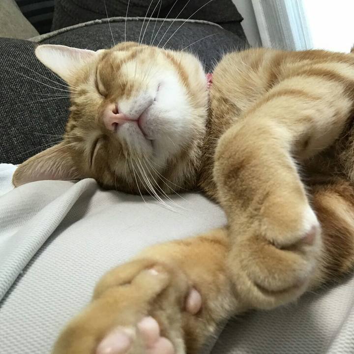 1d62379b 3f30 4acc 83fc ae6b93d688a9