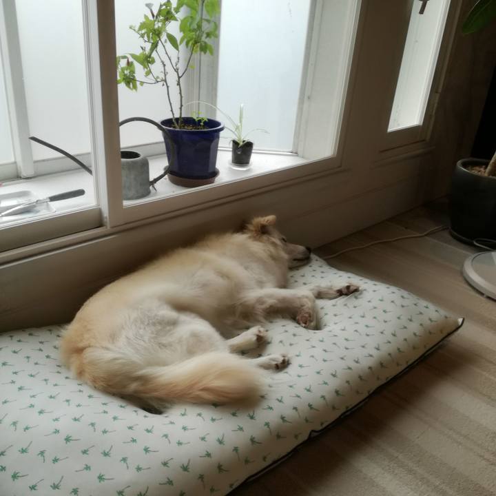 1d6259e5 e45d 4bc8 9bc8 b3a144968a6e