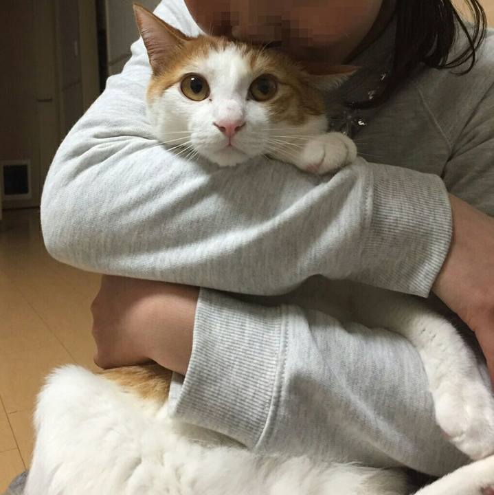 1d62b641 90ab 40dc 9229 be6c4bd2388f