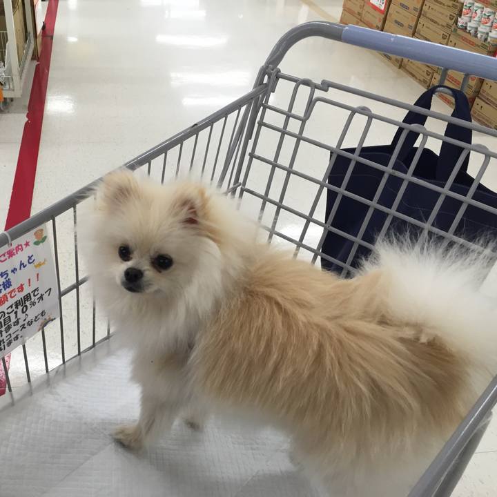 1d62b651 5498 4b9c a085 3e6dd6bbc6a5