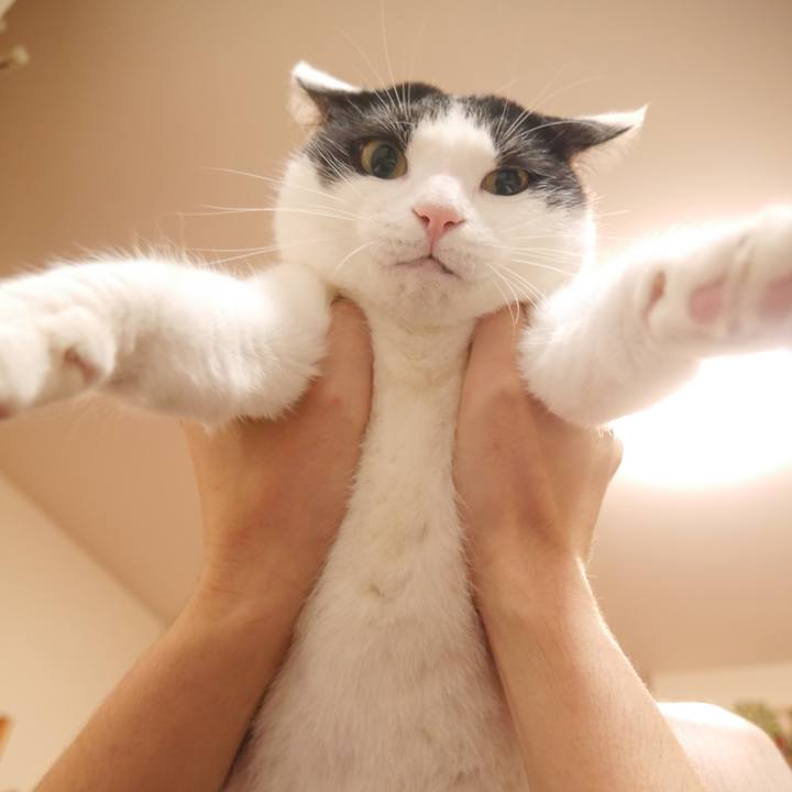 1d62d3fc c9fb 42eb a787 889647ec2822