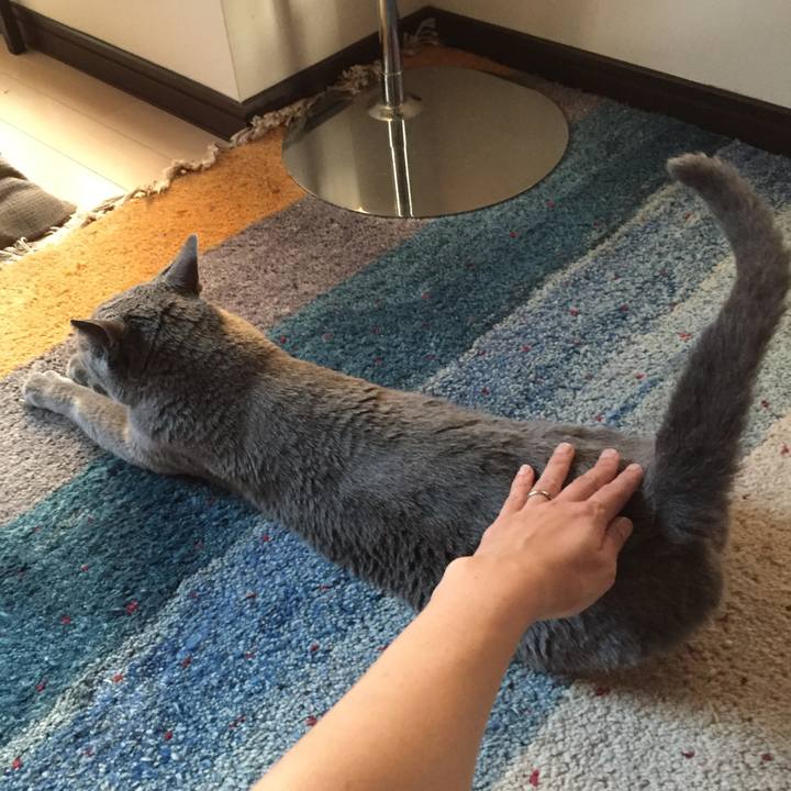 1d6323ec 3b17 476a a142 28a4759393cd