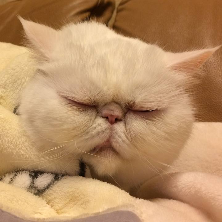 1d639abe 37c7 402b 82fd ae45b96078ce