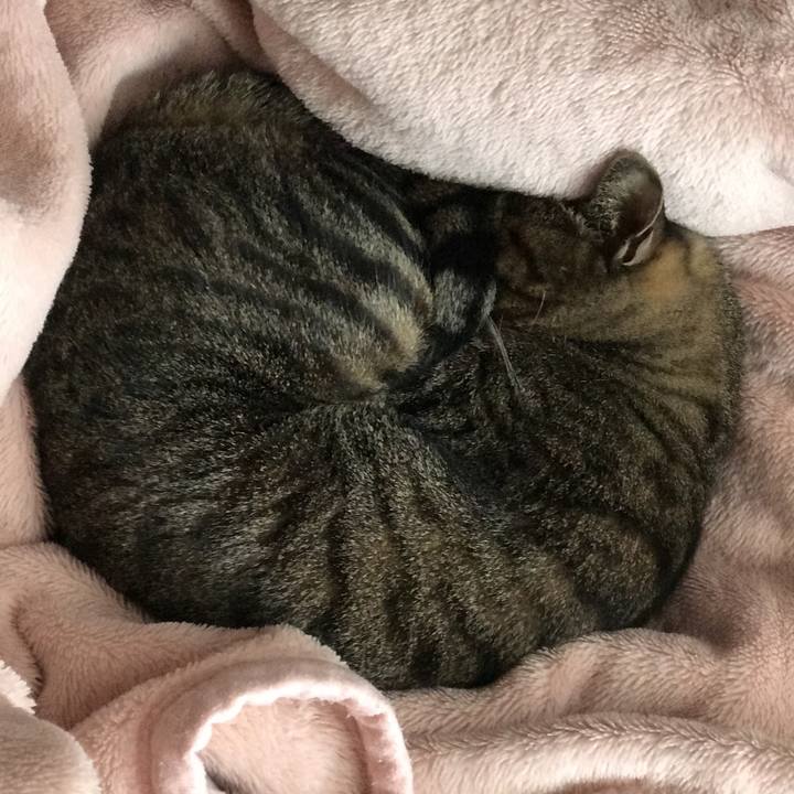 1d63b062 3fcd 44c9 b3c6 875862d061b3