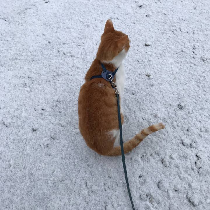 1d63dcfa 01b2 46f9 b243 c069bec20882