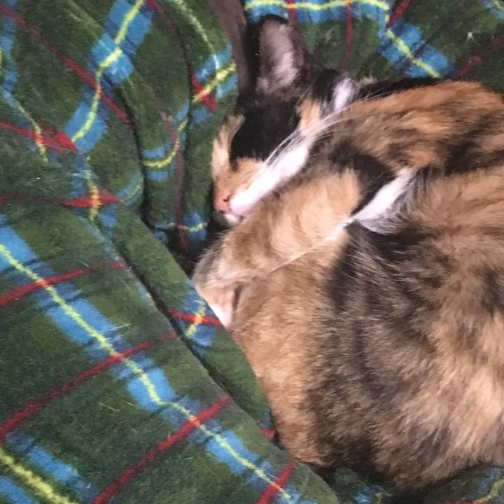 1d641de6 18fe 468e ba21 3362b7c44f80