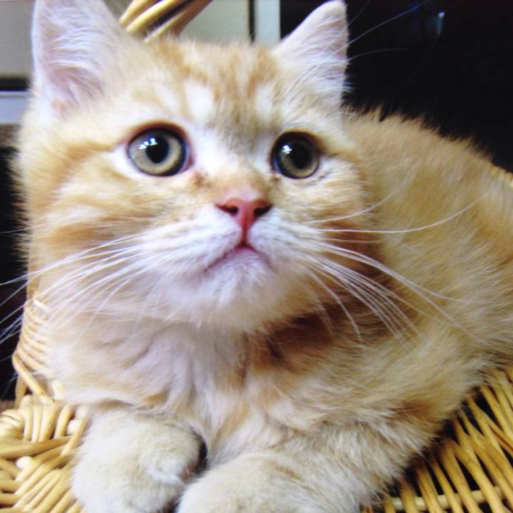 1d651ce6 c881 4442 860f f0045c02c713