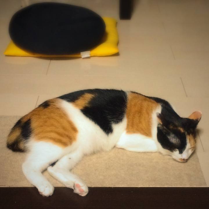 1d65641a ed18 4463 b8ea 6bee5670eee6