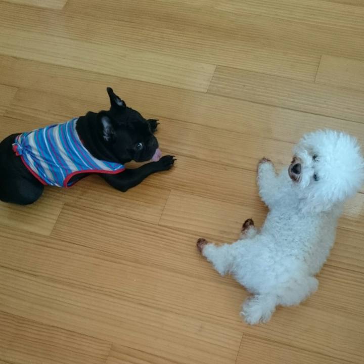 1d66224d f495 4358 ace1 7bc115c68aab