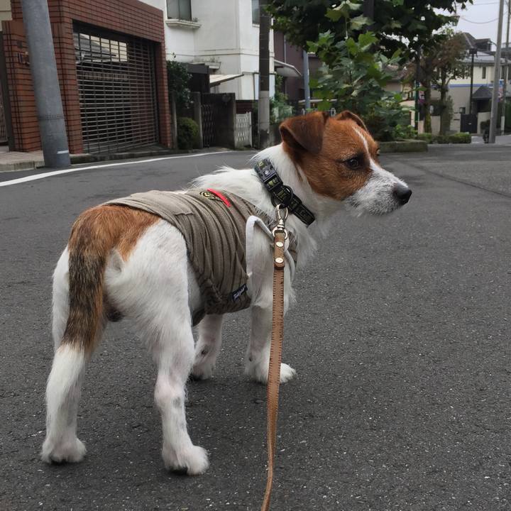 1d663961 b5eb 4c7a 9caa 6dd9de6b5420