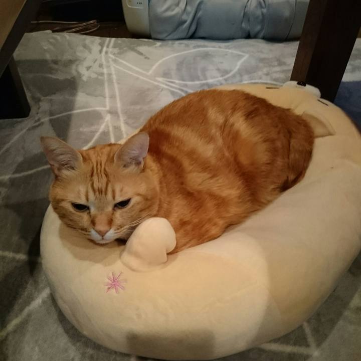 1d6704ef 5619 410a b169 261a825c0497