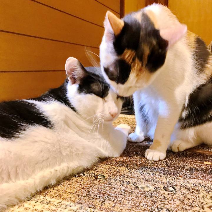 1d67b634 9700 4f47 934d c3a38eb7d538