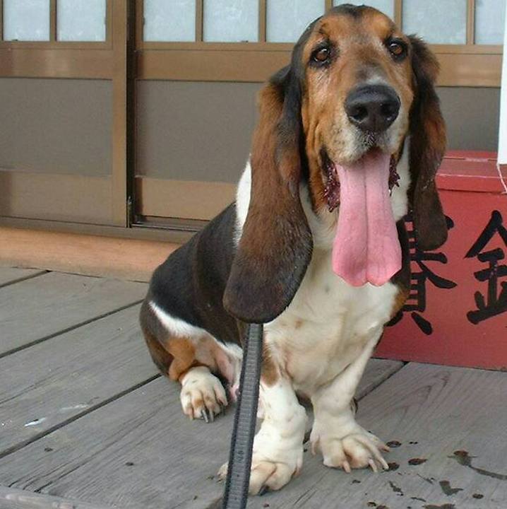 1d68d8ea 3f56 43e1 977e 7b827b21c306