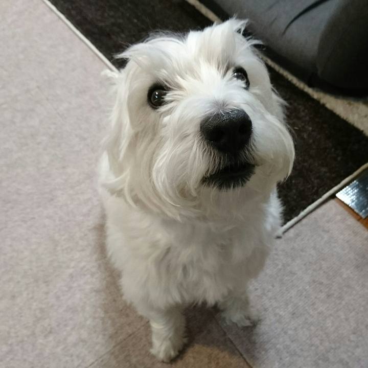 1d69a19f b93a 46b3 b872 961468c39324