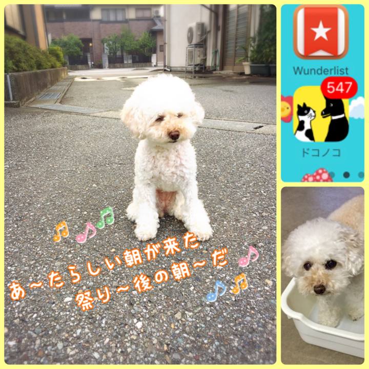 1d6a4ab0 208e 415f 8824 ac864c4129f8