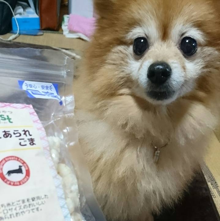 1d6a4f46 b999 4a7d 9d08 44b297d28698