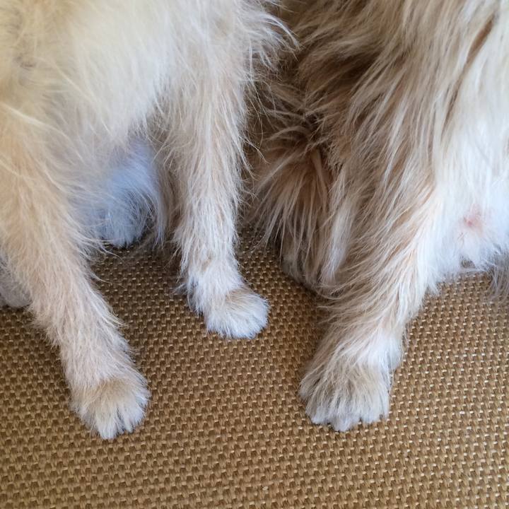 1d6ad87f a940 48f7 9b3d 4803d199dd84