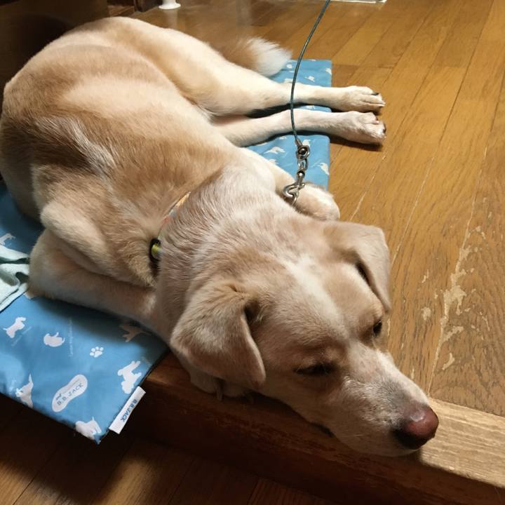 1d6b137c 7c14 4d3a 97c5 8526eed08a4c