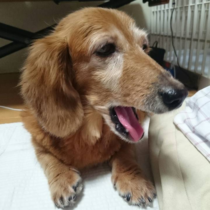 1d6ba068 ca65 47d5 9498 8cbe2cc00873