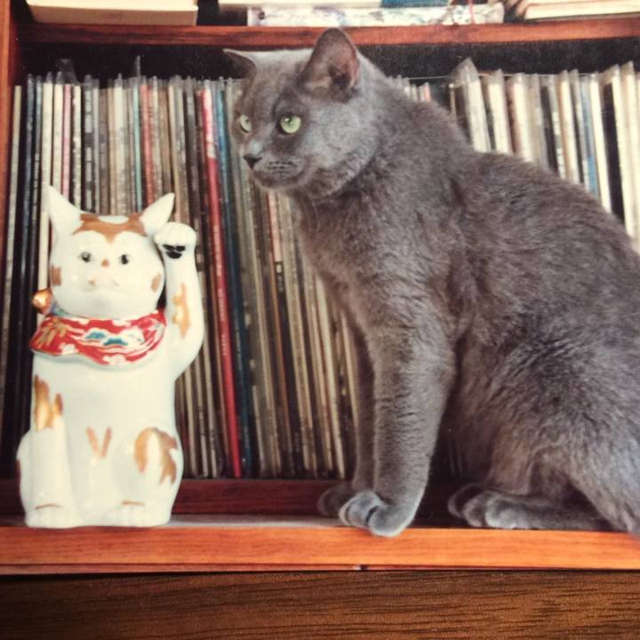 1d6bc9de a4dc 4063 8ca5 3934ef1d3980