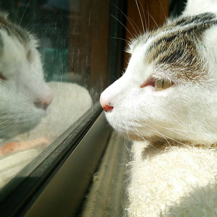 1d6bfd64 2b65 4c95 91a7 130cccb9d1d4