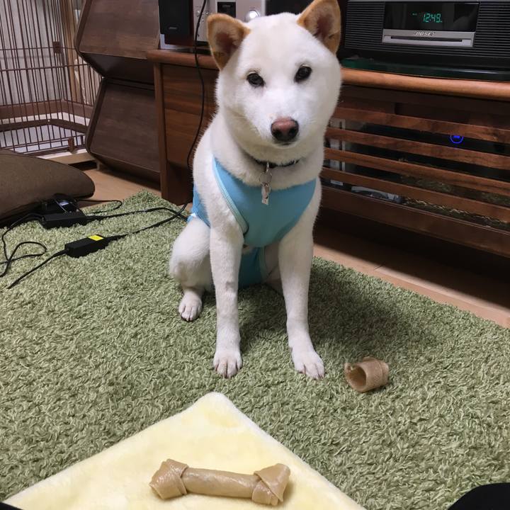 1d6c565c 3889 4c6e 8571 cee0af8a2708