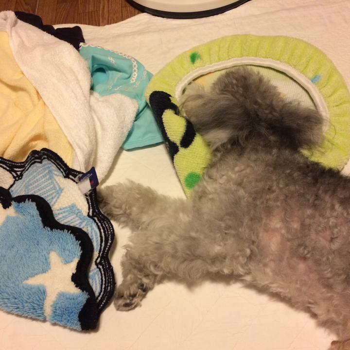 1d6ccbba c57a 4f29 8983 bed434ed5142