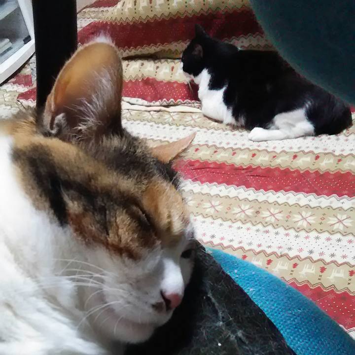 1d6d1582 ea92 4244 b5ac f14744d4d6ad