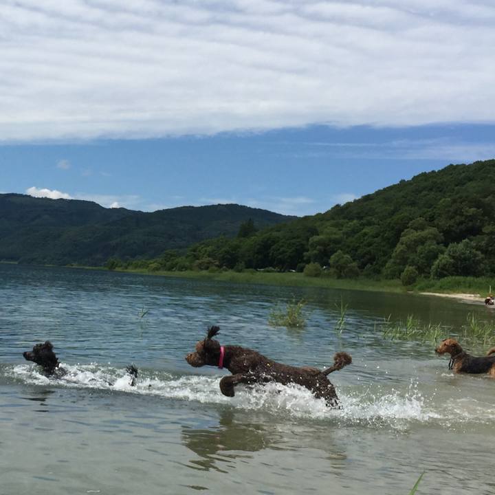 1d6d2e5a 89fc 489d 8a71 6abe53621213