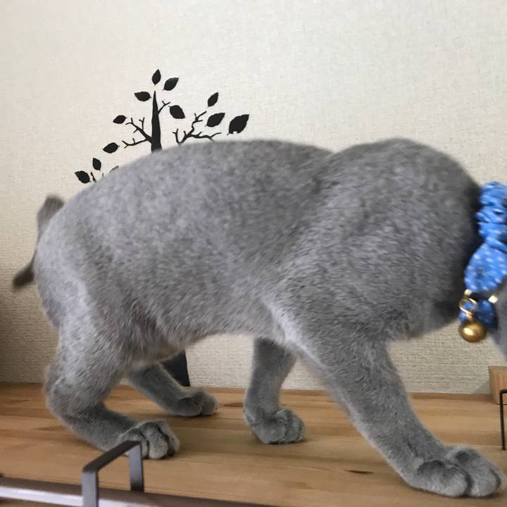 1d6da10e 9bb1 4160 8ddb 32be069d323c