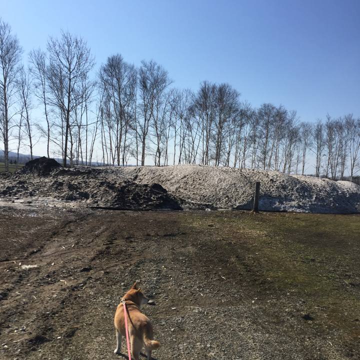 1d6e1b01 e95e 426a 890d f38913638c97