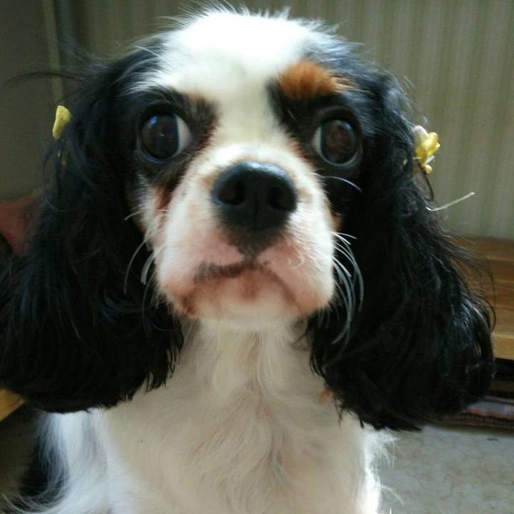 1d6e24f2 b1a9 4b9b ac89 a7b2a5e031e4