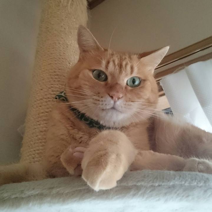 1d6e8c98 ed52 414e 9569 e820c9223837