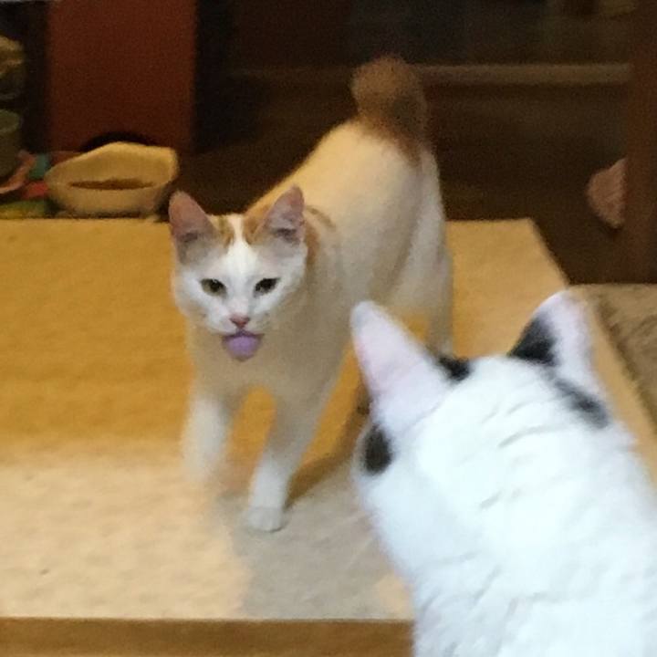 1d703409 ea20 4d1a a7e8 d882650f0de0