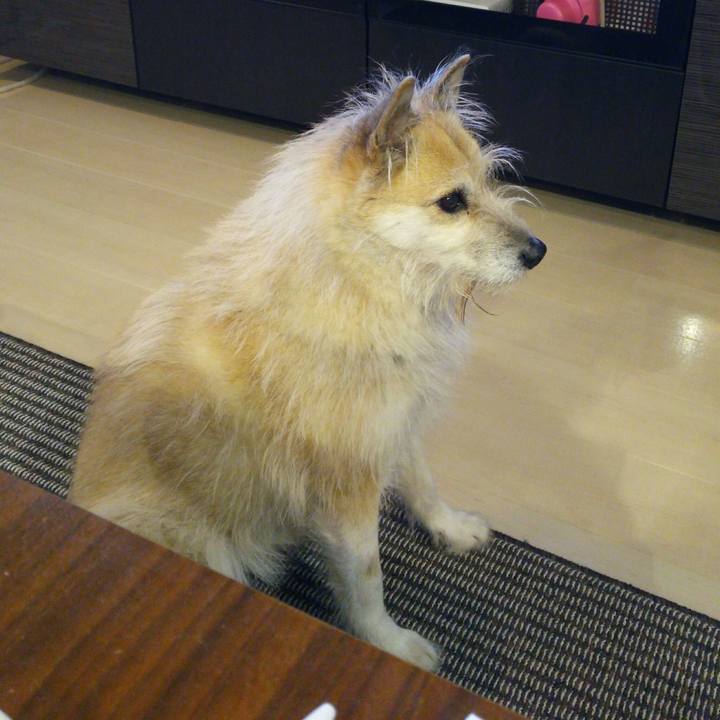 1d70625b 4278 4f7b ad5b 1c8f97d24d56