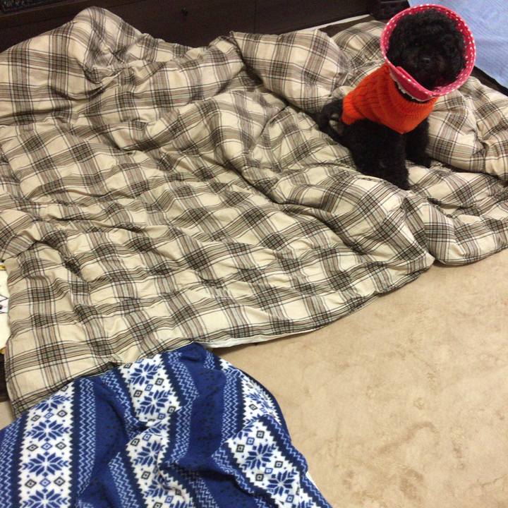 1d708eee e523 45dd b50c 7ec6b18c3d09