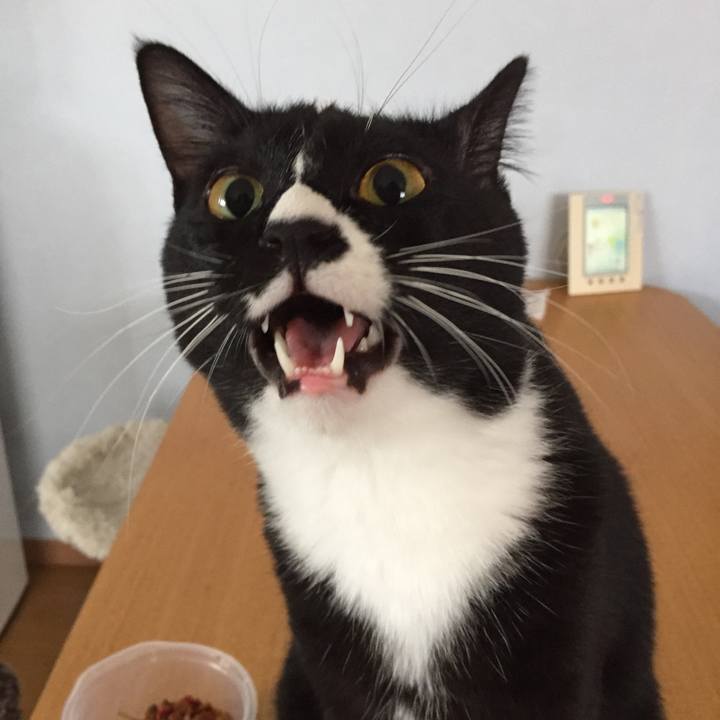 1d7091d5 7214 4ac9 9086 010d6513eb23