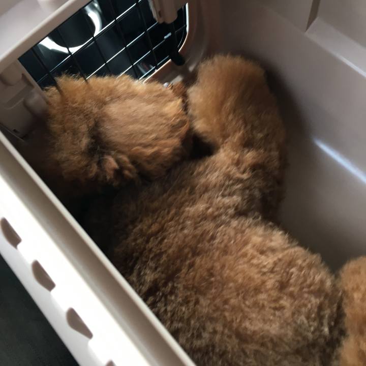 1d70d62a 687d 434c 909d ba22e655a420