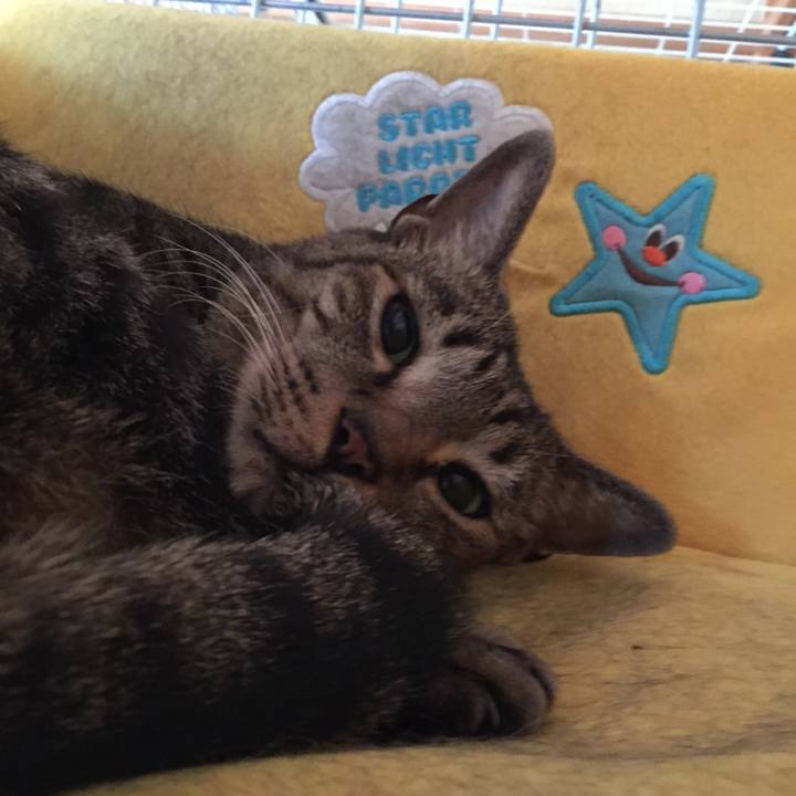 1d715b72 e217 4ba3 8d7b 7f1c6173c90b