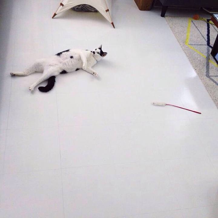 1d7166b1 5141 4086 b67b e966f071526a