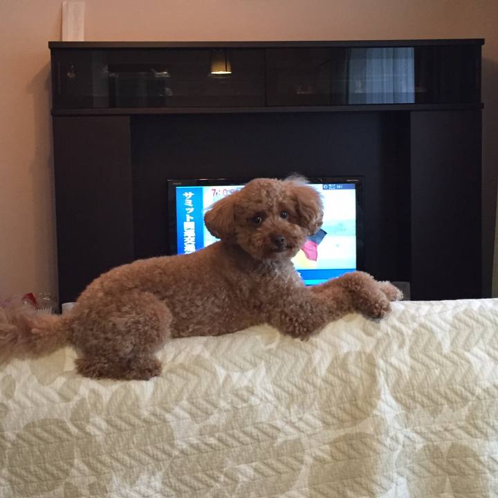 1d71aab7 1e7d 47a4 adea ade381265313