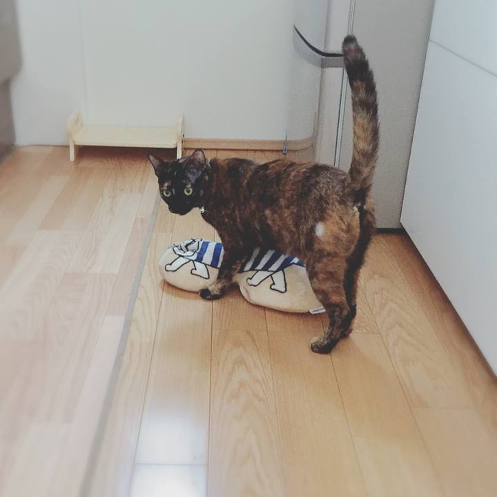 1d71cbe8 5015 4137 8697 2f0359d96f90