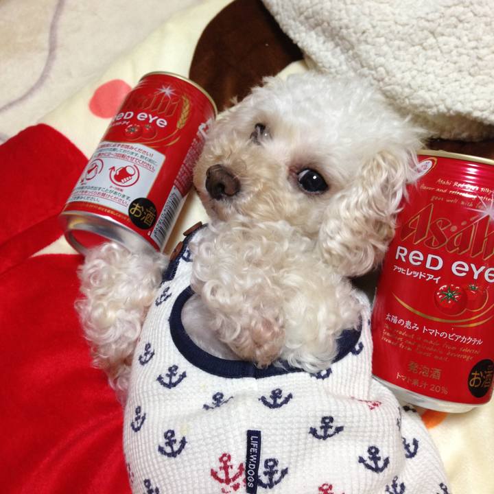 1d71ecd1 1720 46c2 9d2c 218798dd9f47