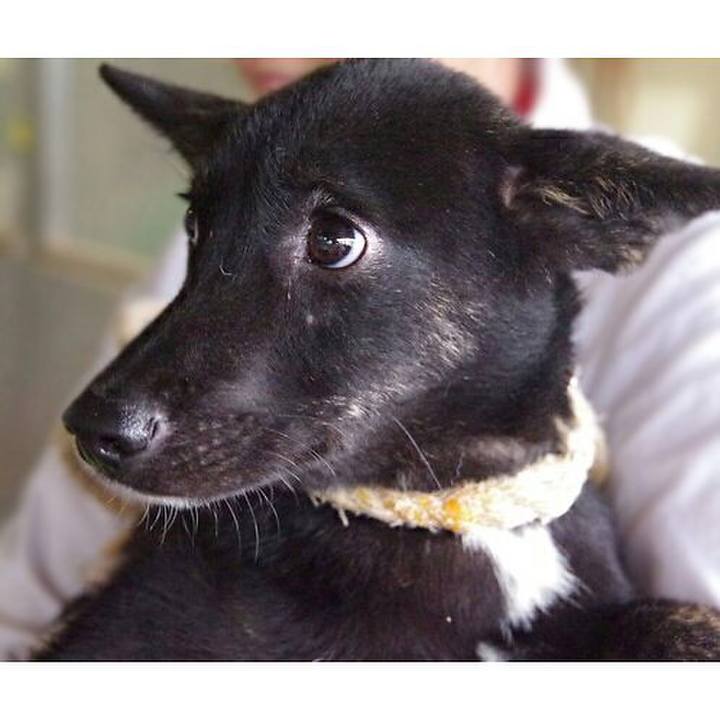 1d71f77f b5b0 4985 80f5 d688613c9b0b