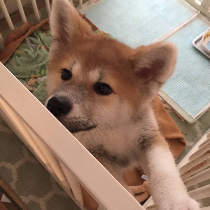 1d729f28 3087 487c a26a 337047dfd397