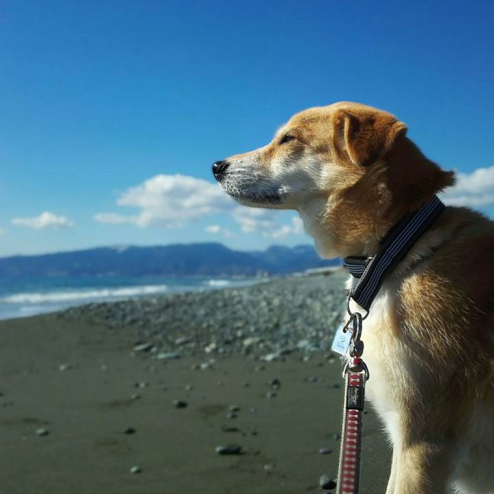 1d72becf 889b 42c3 829f f7e36789b8e9