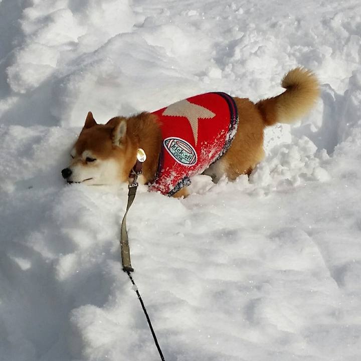 1d730367 da9c 4270 bd10 9dd24bff7f43