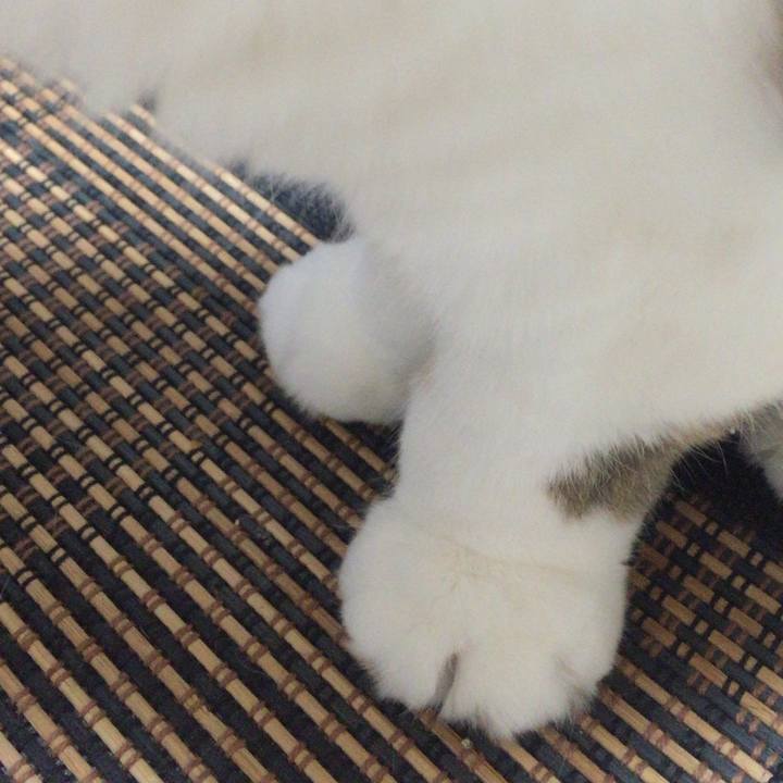 1d731ce7 0d16 48c0 a8ee 5f2f875b9cbb