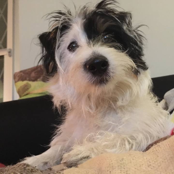 1d734a35 a179 425f bf91 197ae902dc40